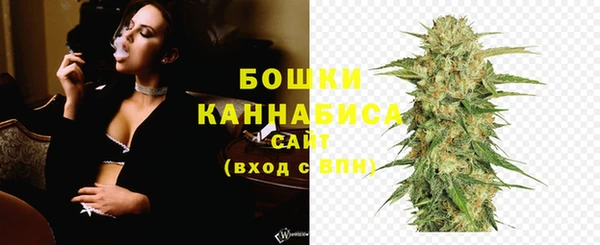 метадон Богданович